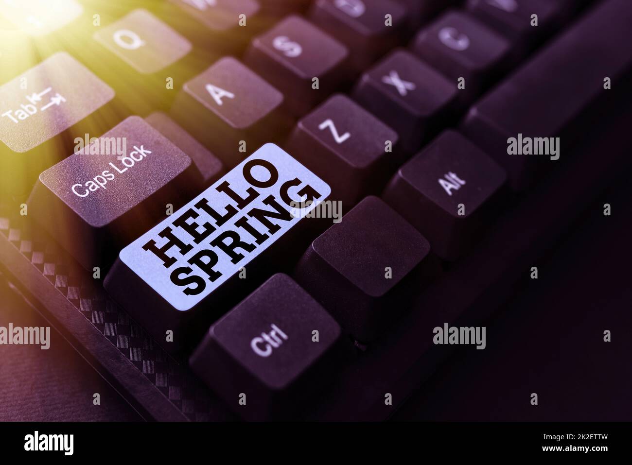 Cartello con su scritto Hello Spring. Saluto concettuale foto per le piante fresche e fiori stagione Abstract Ufficio battitura lavori, scrittura scrivere rapporti di lavoro importanti Foto Stock