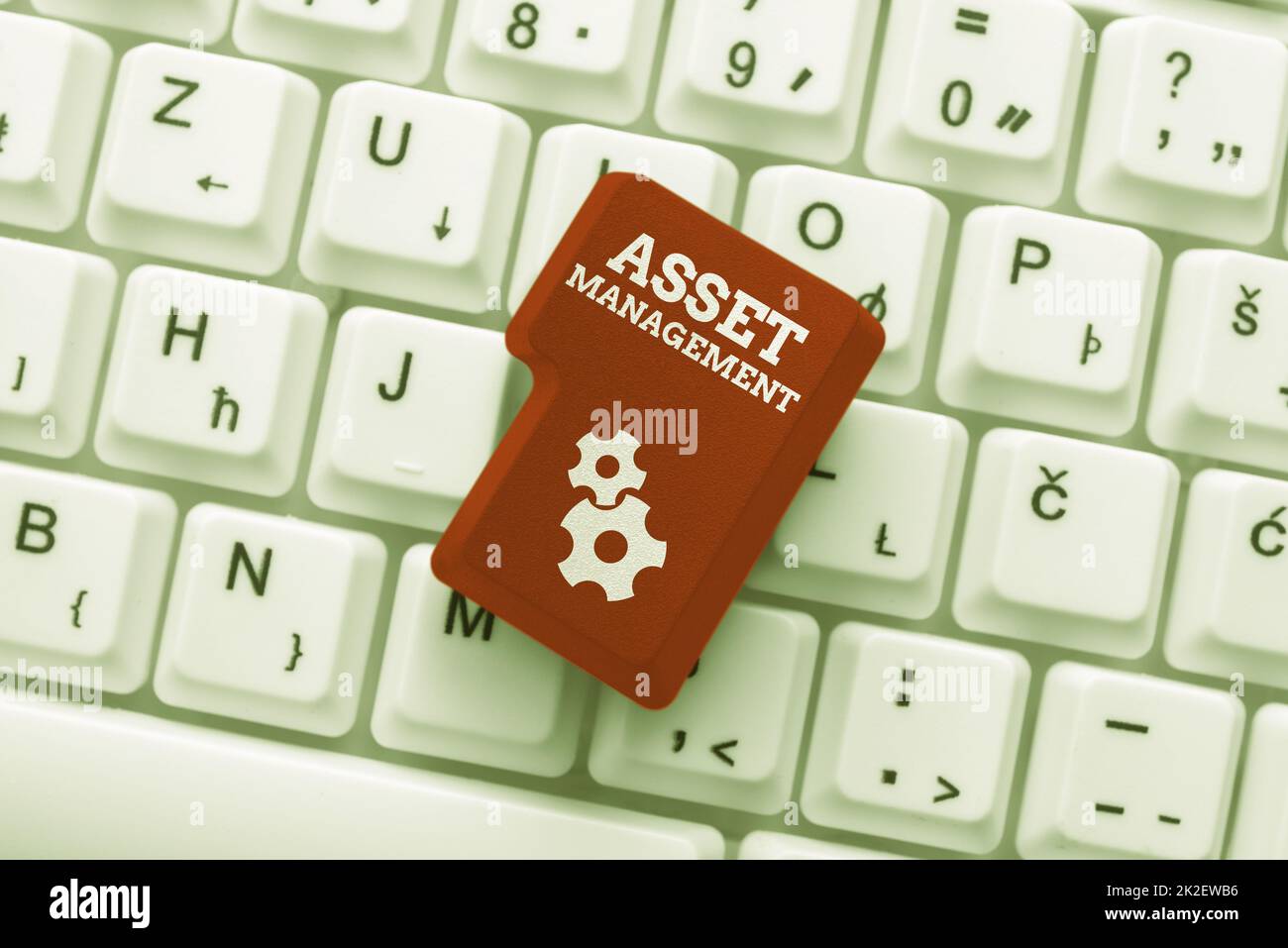 Ispirazione che mostra il segno Asset Management. Parola scritta sulla gestione precisa delle risorse per i benefici economici futuri editing e pubblicazione di notizie in linea articolo, digitando Visual novel Scripts Foto Stock