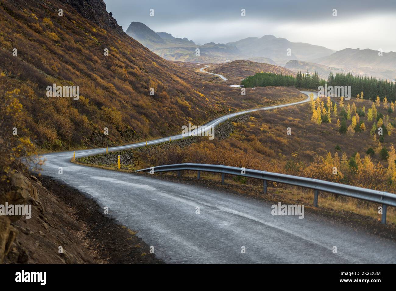 La linea stradale perspicace in autunno Foto Stock