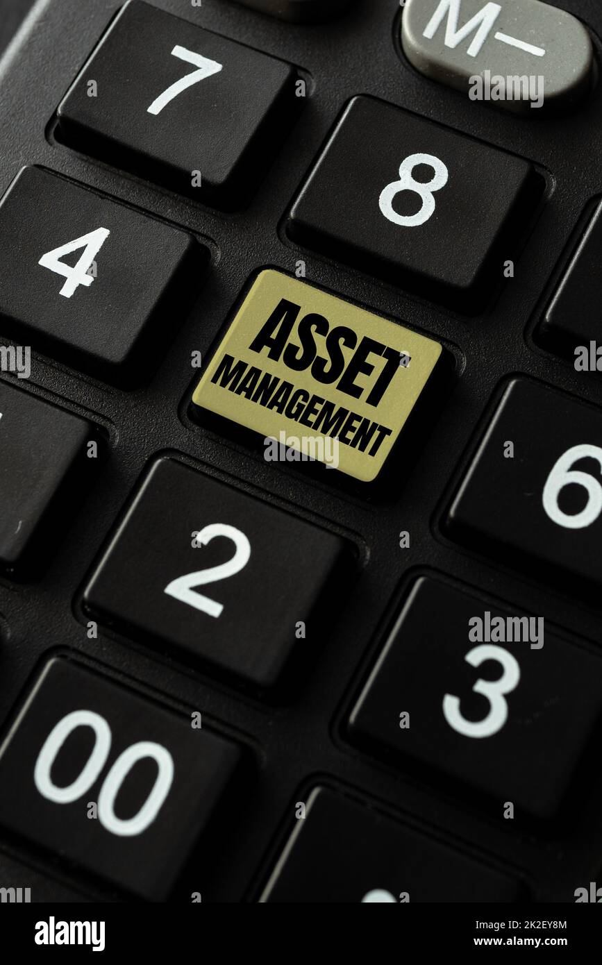Ispirazione che mostra il segno Asset Management. Panoramica aziendale Gestione precisa delle risorse per i futuri vantaggi economici documentazione online idee, caricamento di file importanti su Internet Foto Stock