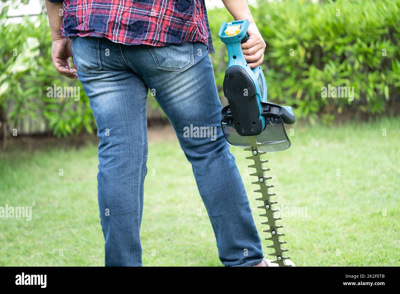 Giardiniere che tiene tagliasiepi elettrico per tagliare la cetop in giardino. Foto Stock