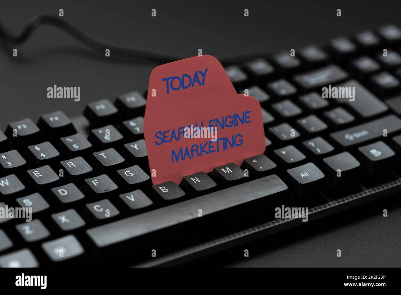 Scrittura che visualizza l'introduzione sul mercato di Search Engine del testo. Vetrina aziendale promuovere la visibilità del sito Web sulle pagine dei risultati di ricerca inserendo parole chiave e descrizione dell'immagine, digitando definizione e significato della parola Foto Stock