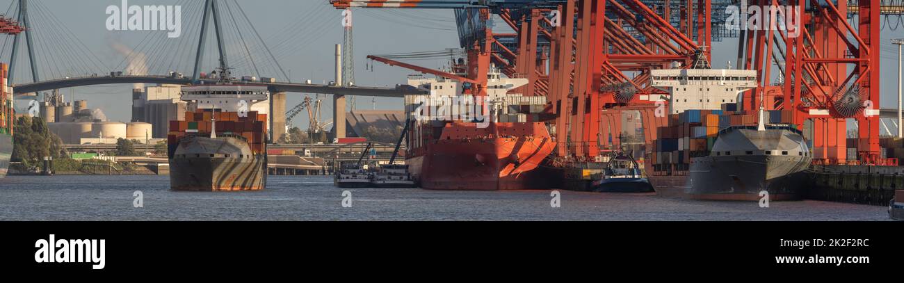 Panorama di un terminal container nel porto di Amburgo con il sole Foto Stock
