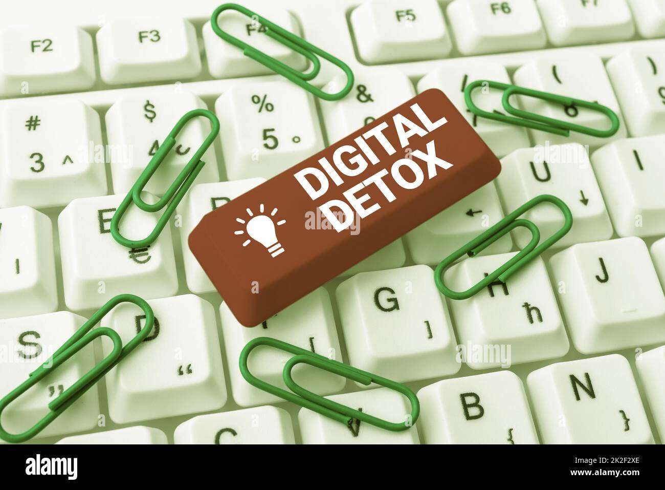 Simbolo di testo che mostra Digital Detox. Foto concettuale che proibisce l'uso di dispositivi elettronici e digitali Abstract Typing nuovi fogli di calcolo, organizzazione del concetto di sistemi di archiviazione Foto Stock