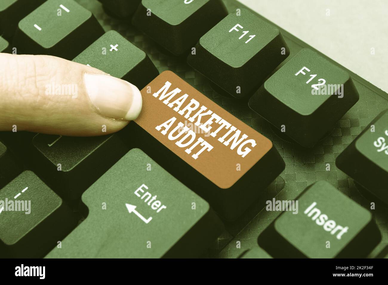 Cartello di testo con la scritta Marketing Audit. Internet Concept esame e analisi delle attività di marketing Download di file e dati online, Caricamento dei codici di programmazione Foto Stock
