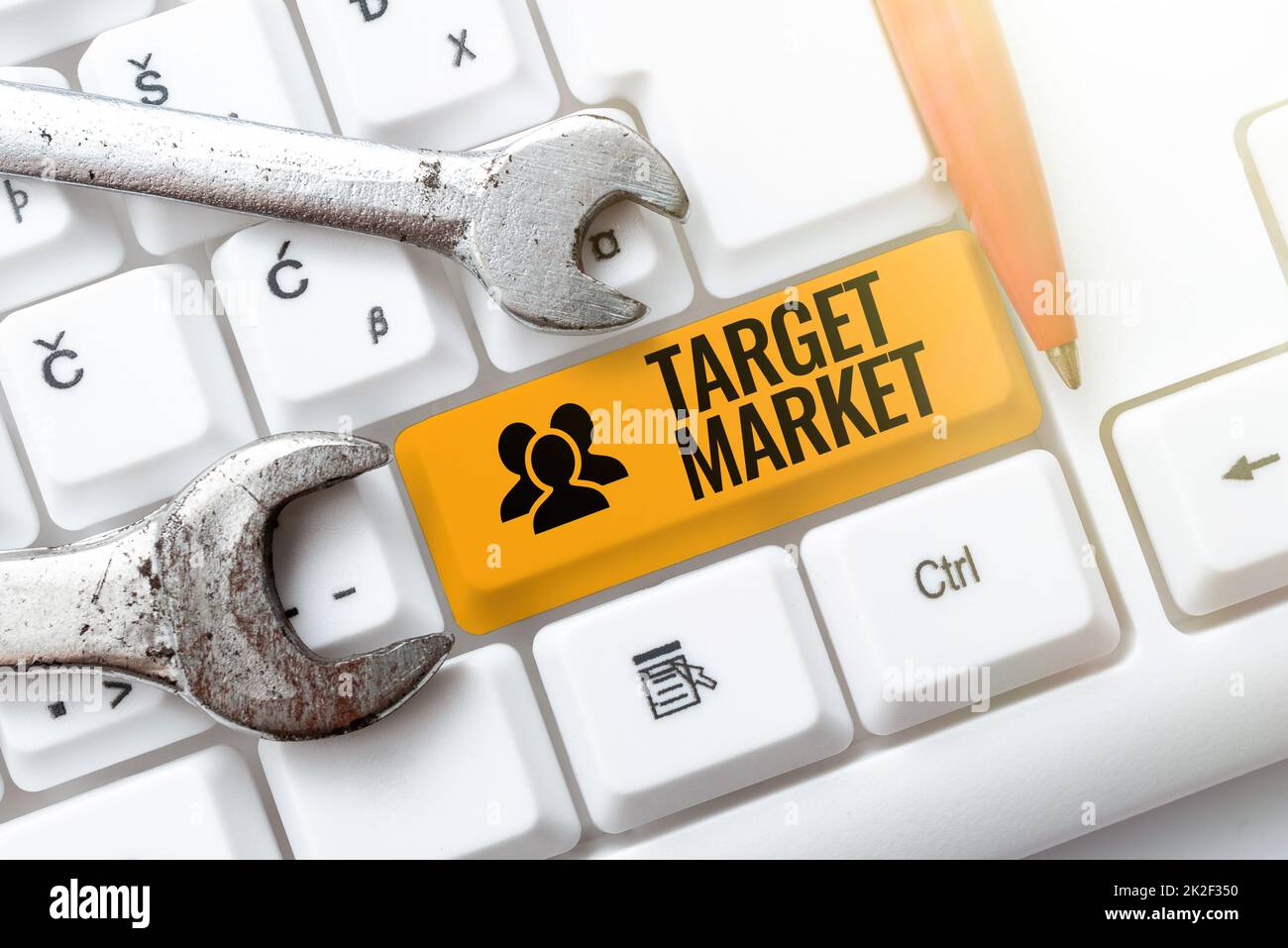 Didascalia concettuale mercato di destinazione. Panoramica aziendale Gruppo particolare di consumatori a cui è destinato un prodotto scrivere interessanti argomenti online, digitando Office Annoucement messaggi Foto Stock