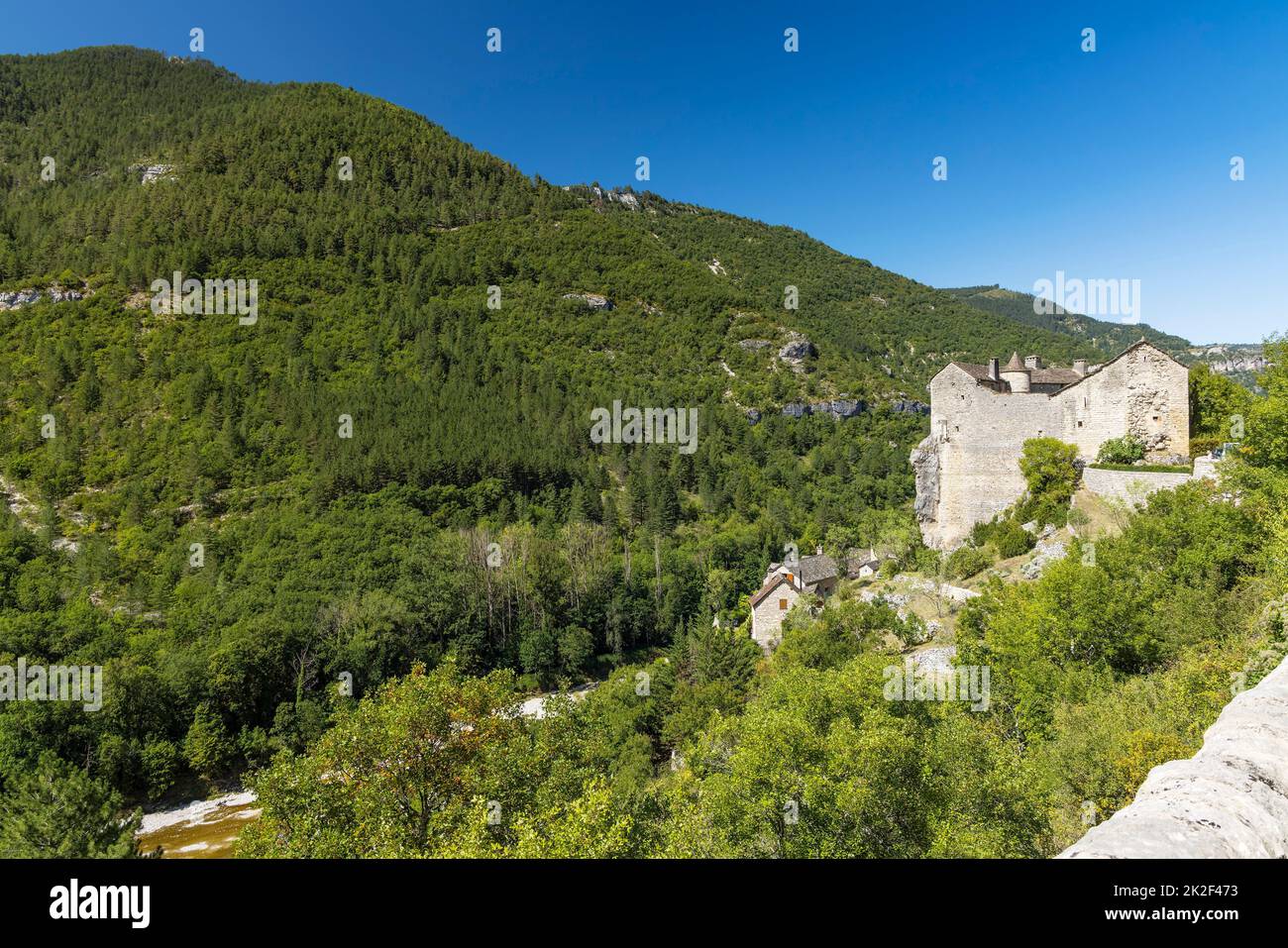 Gorges du Tarn, regione dell'Occitania, dipartimento dell'Aveyron, Francia Foto Stock