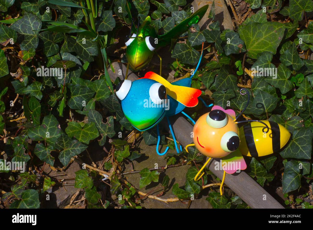 insetti di stagno che siedono sul bastone di legno nel giardino Foto Stock