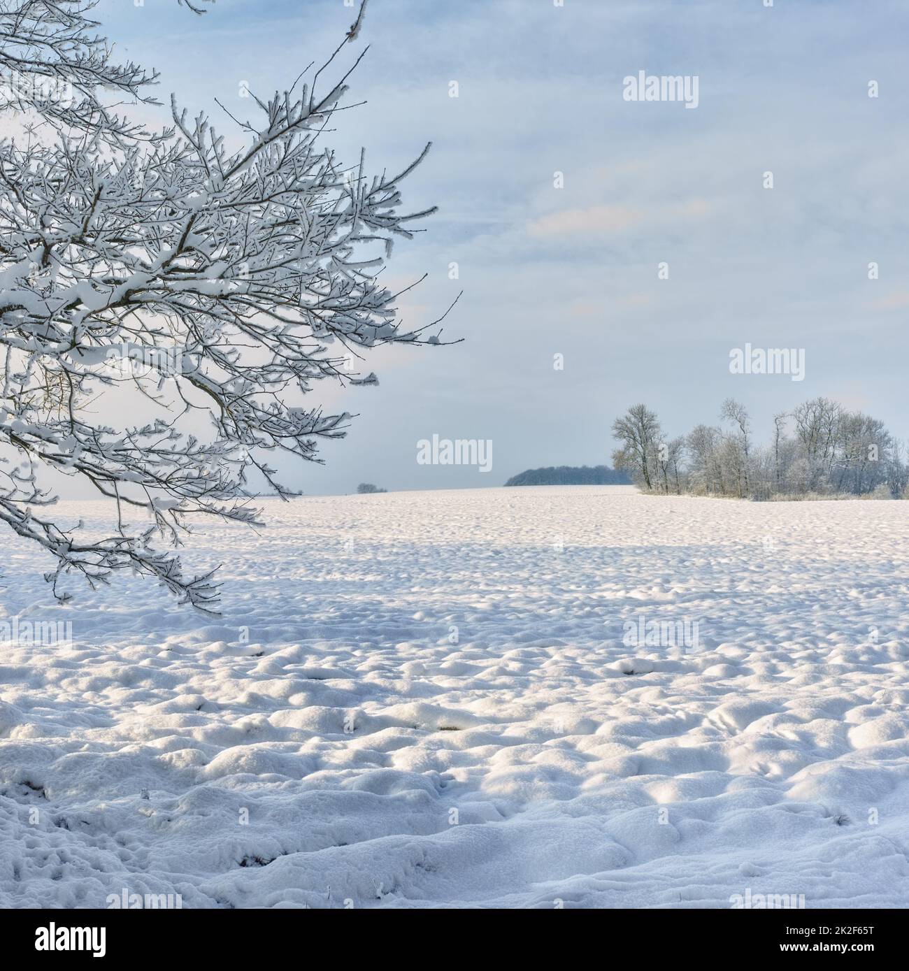 Il sole splende in questa giornata d'inverni, un paesaggio invernale panoramico. Foto Stock