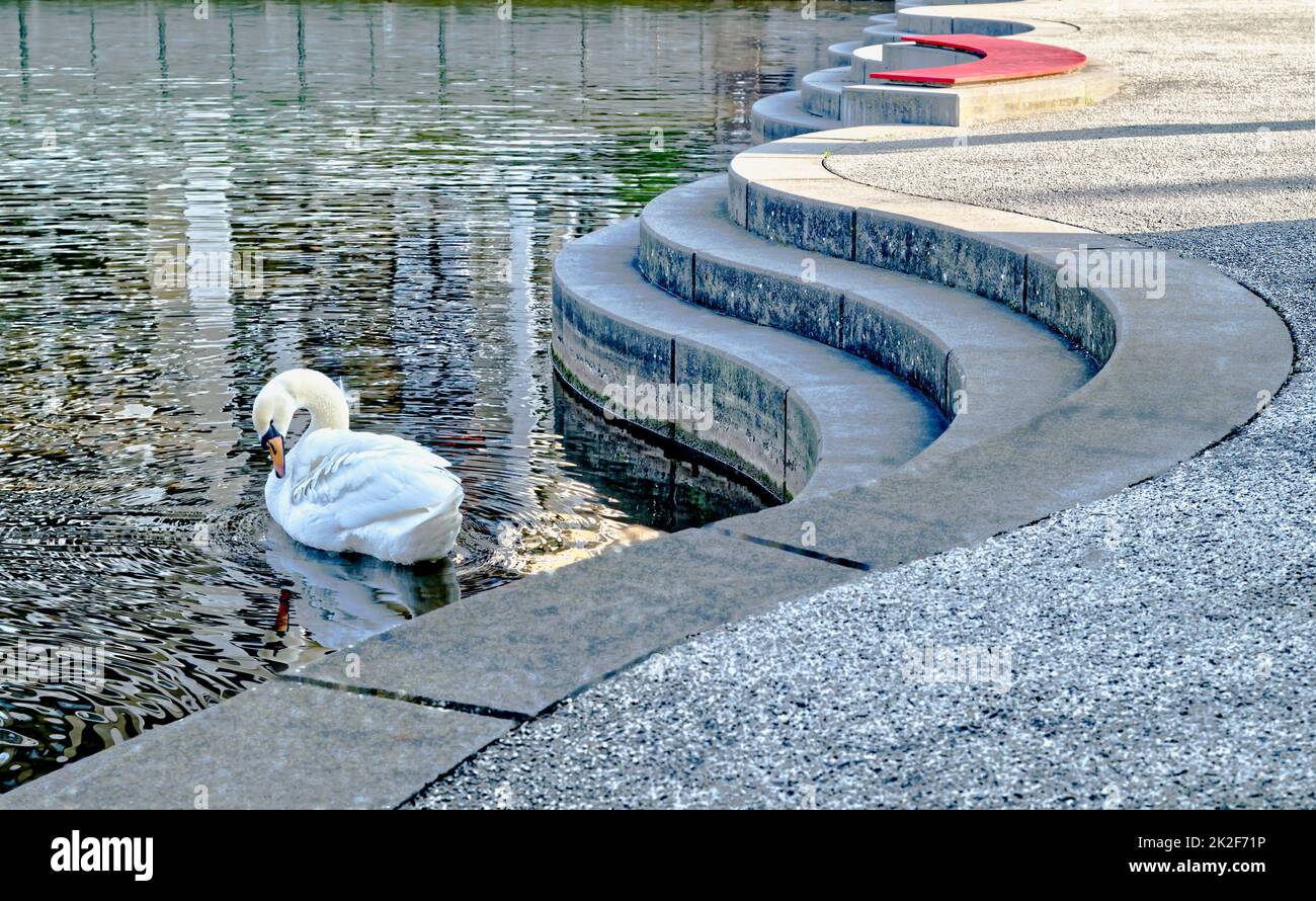 Contrasto delle onde di pietra e delle onde di acqua, New Haven a Offenbach, eyecatcher:fatto a mano in rosso, eyecatcher: Per natura in bianco (cigno) Foto Stock