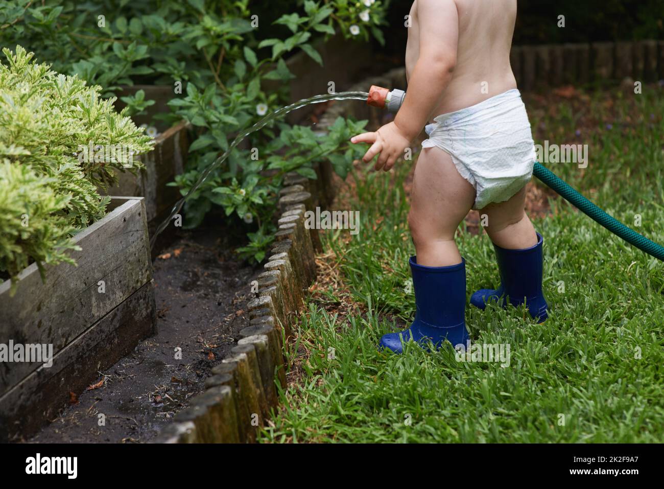 Alla scoperta del mondo. Un bambino giovane che innaffia il giardino. Foto Stock
