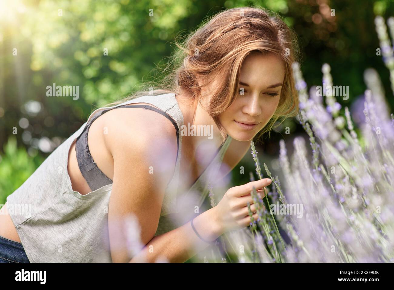 Il potere curativo della lavanda. Una giovane donna che odora la lavanda nel suo giardino. Foto Stock