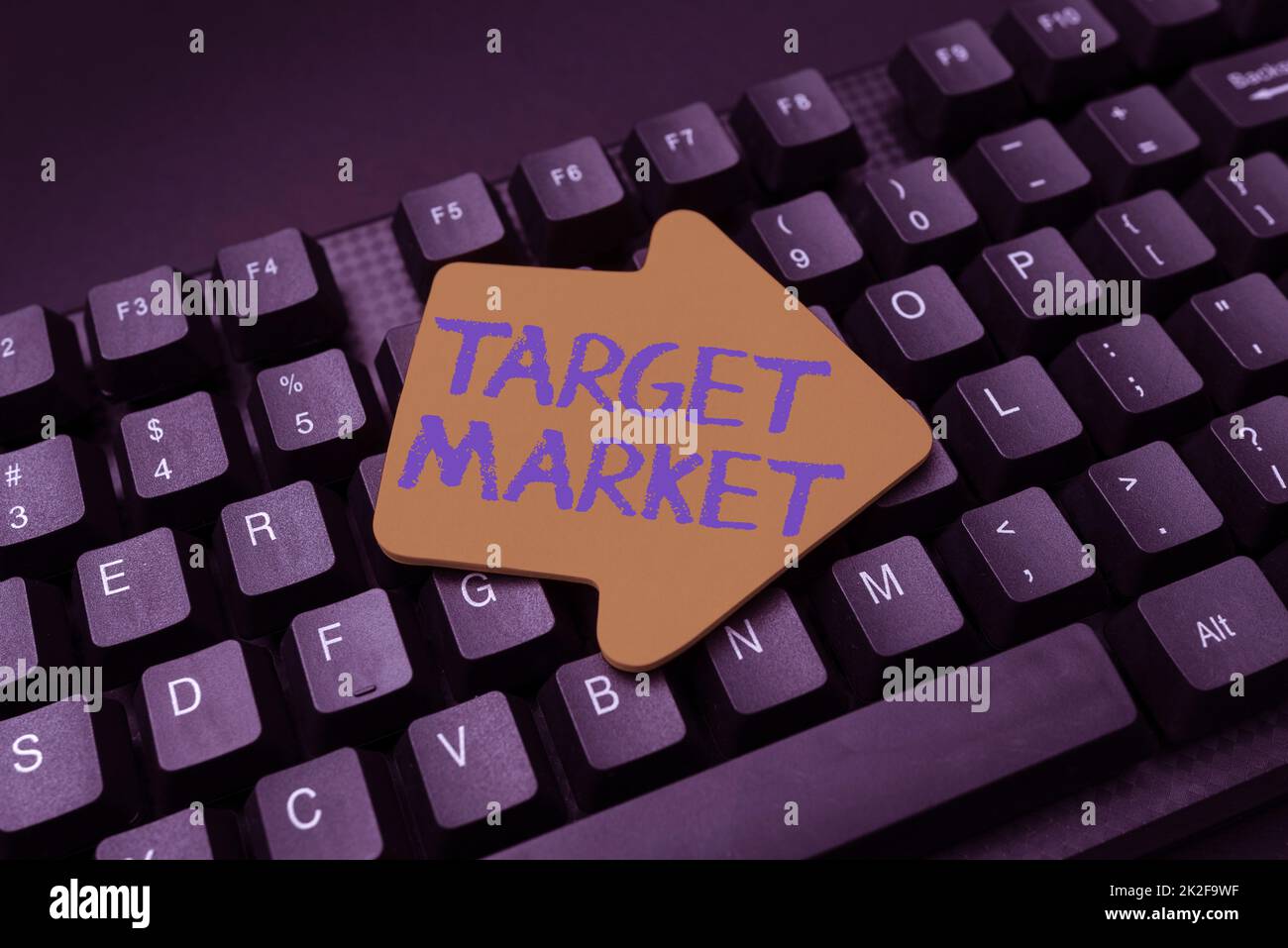 Cartello che mostra il mercato di destinazione. Panoramica aziendale Gruppo particolare di consumatori a cui un prodotto è destinato digitando Nuova edizione di eBook informativo, creando nuovo contenuto del sito web Foto Stock