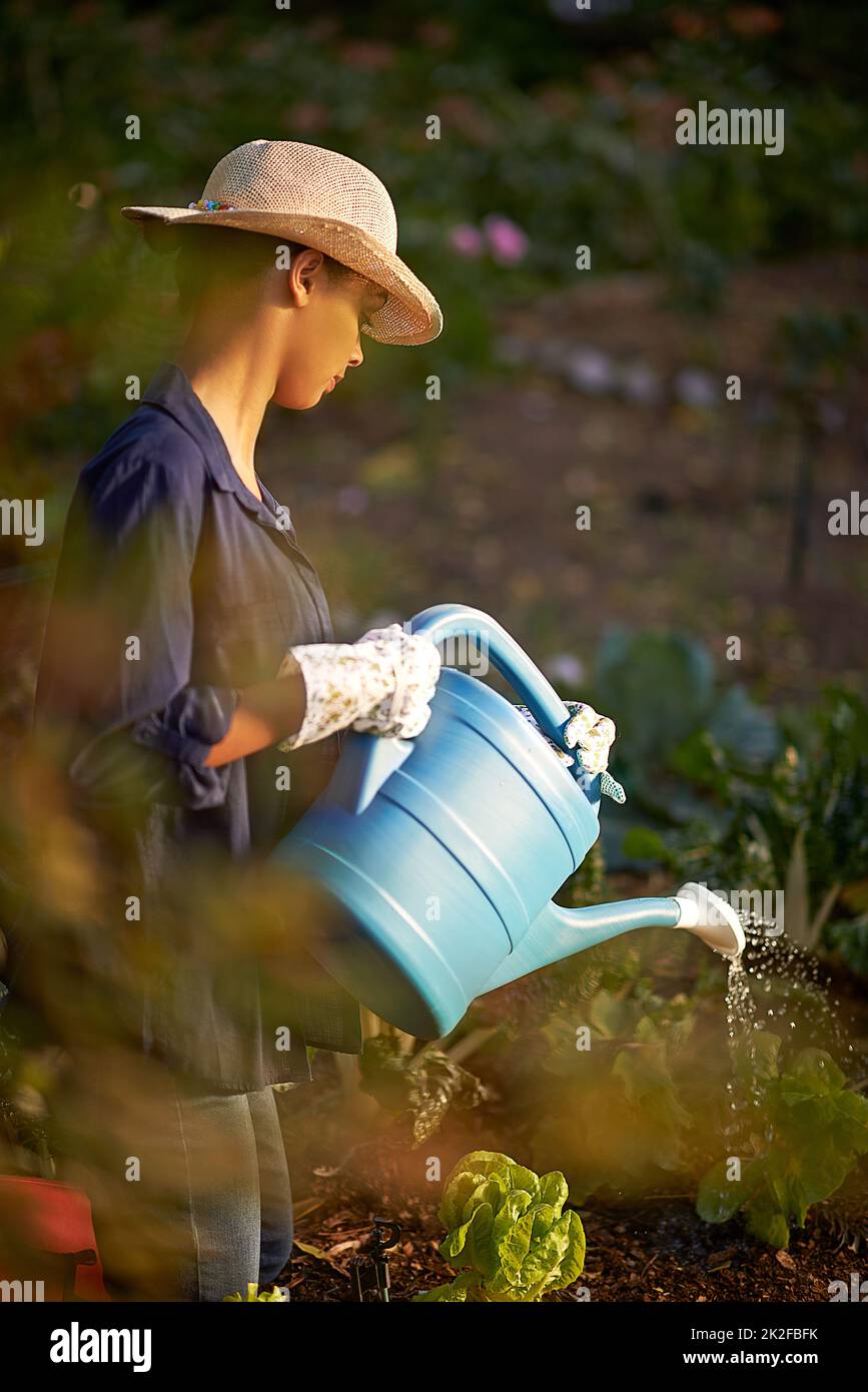 Nutrendo il suo giardino. Scatto di una giovane donna che innaffia il suo giardino. Foto Stock