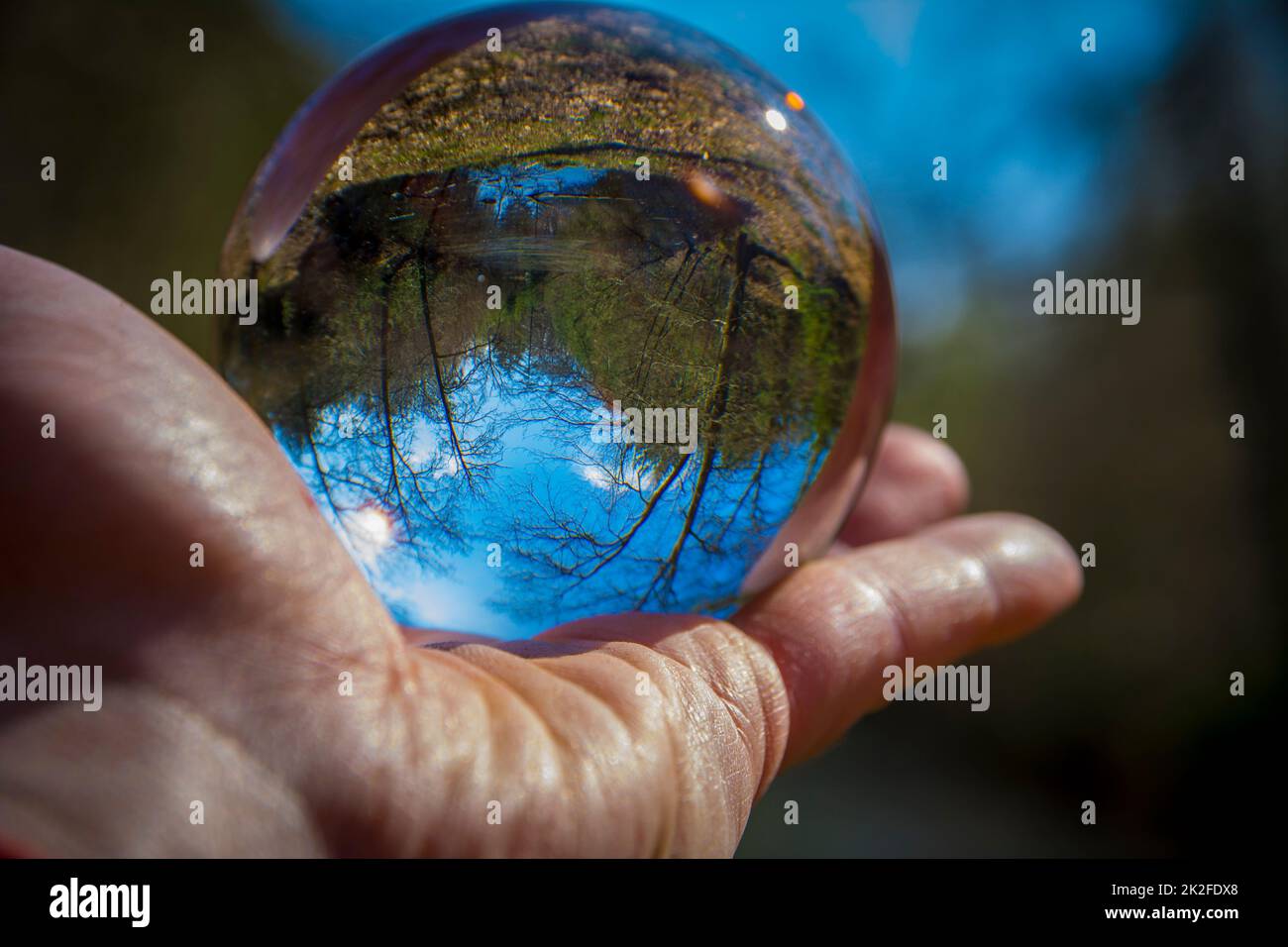 Palla di vetro a mano con la natura invertita e l'immagine del paesaggio Foto Stock