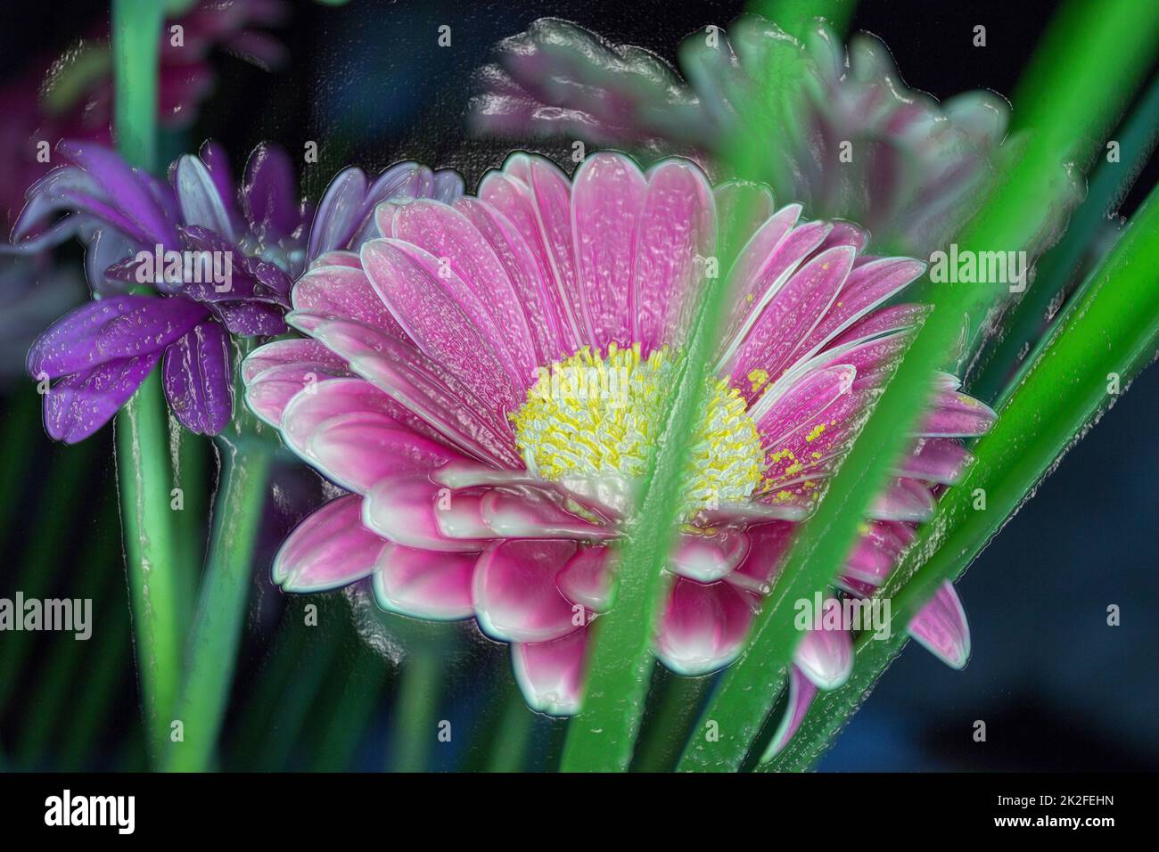 Bella Gerbera rosa Foto Stock