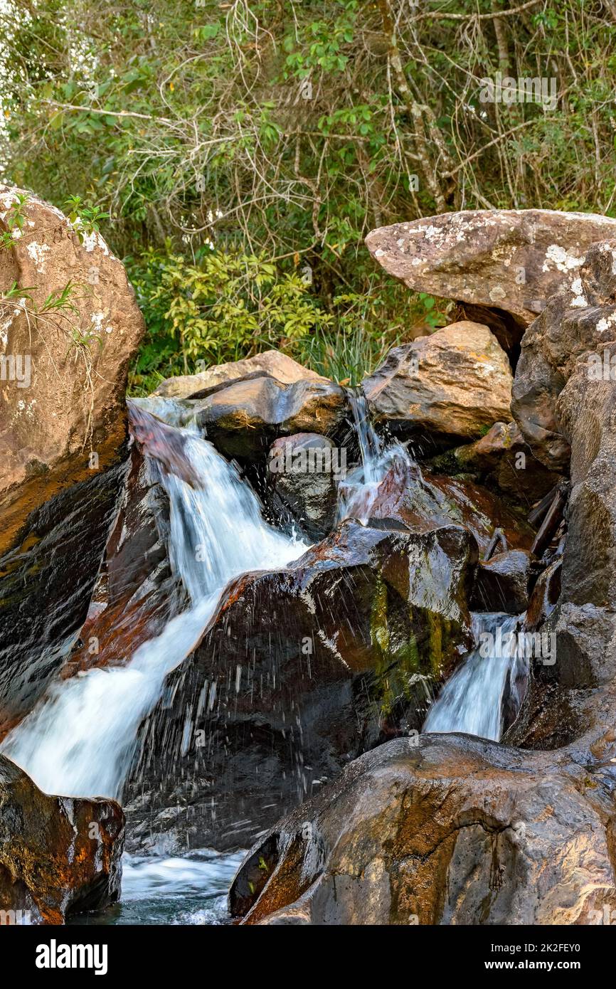 Piccolo torrente con acque limpide che attraversano le rocce e la foresta Foto Stock