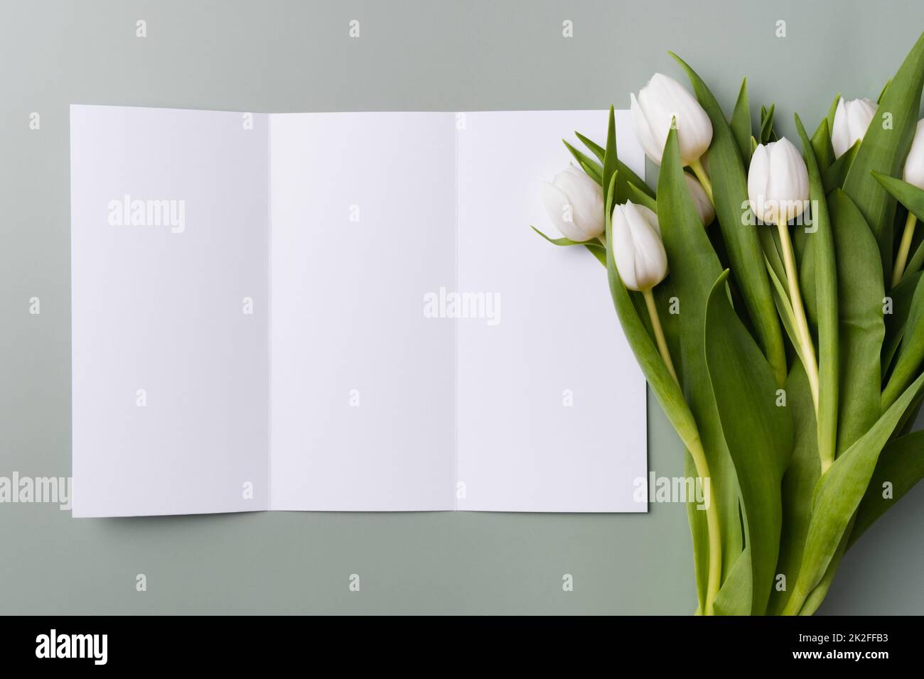 Mockup bianco di triplice brochure su sfondo verde chiaro con un bouquet di belle tulipani bianchi. Foto Stock