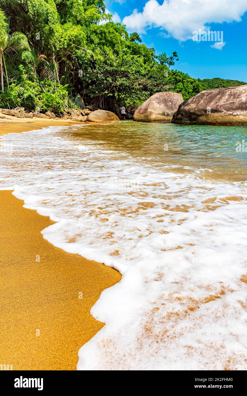 Schiuma di mare che avanza sulla sabbia sulla spiaggia circondata dalla foresta pluviale Foto Stock