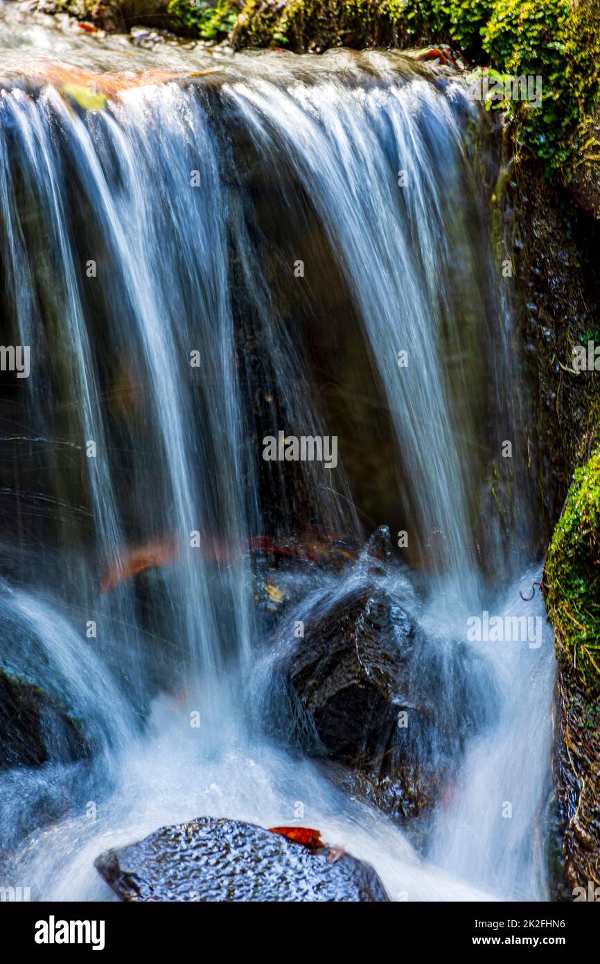 Piccolo ruscello e cascata nella foresta pluviale Foto Stock