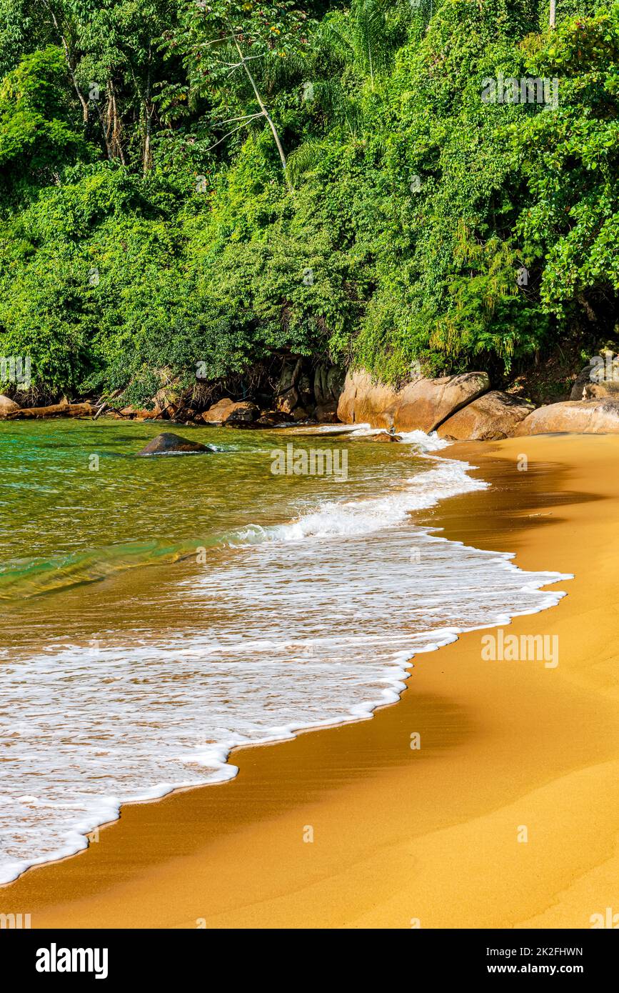 Splendido incontro tra la foresta tropicale preservata, la spiaggia di sabbia e il mare Foto Stock