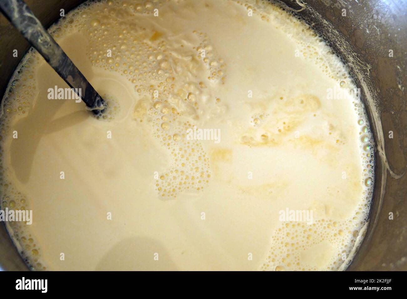 Latte di vacca naturale con abbondante grasso, bollito a fermentare yogurt Foto Stock