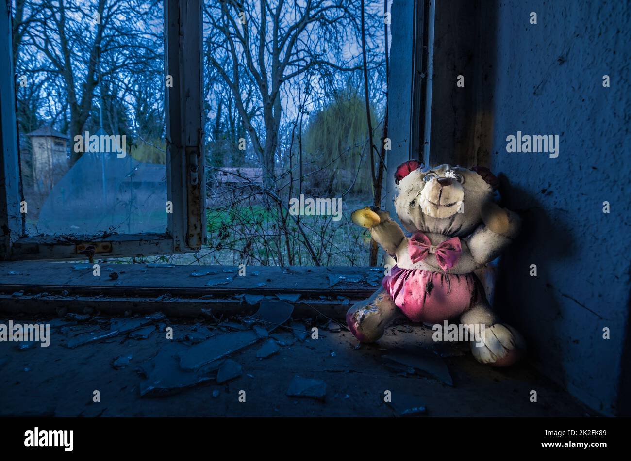 luminoso orso di peluche Foto Stock