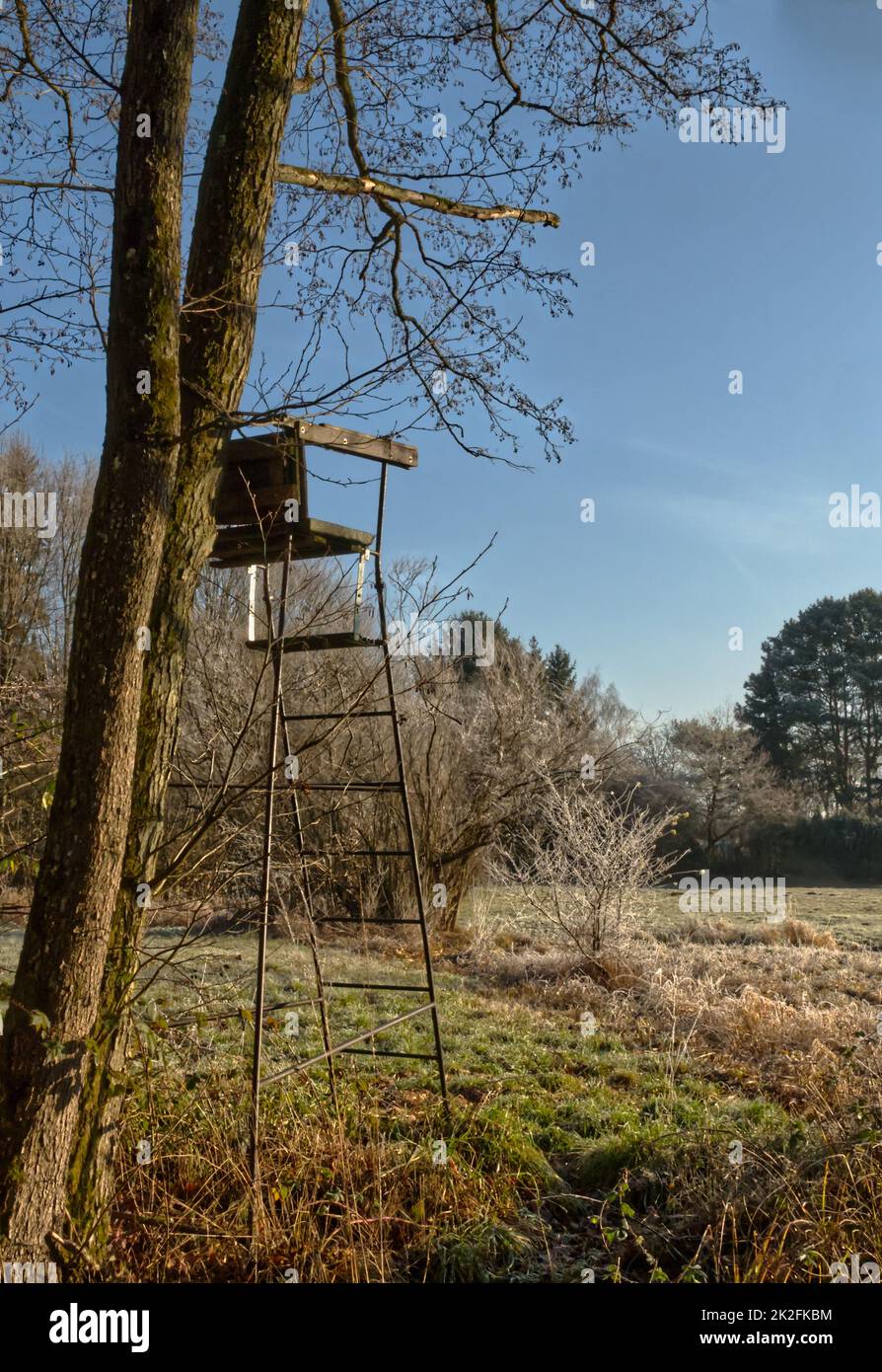 pelle sollevata, albero stand o cervi stand utilizzato dai cacciatori in silvicoltura Foto Stock