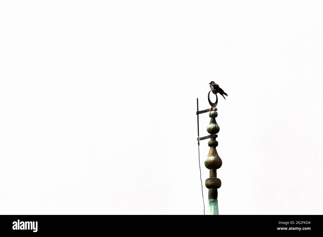 uccelli corvo che si eruttano alla fine del minareto della moschea, minareto e uccelli della moschea, silhouette di minareto e uccelli Foto Stock