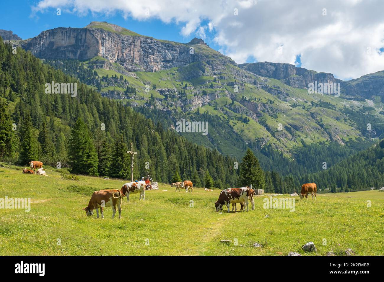 Bella valle alp con mucche al pascolo Foto Stock