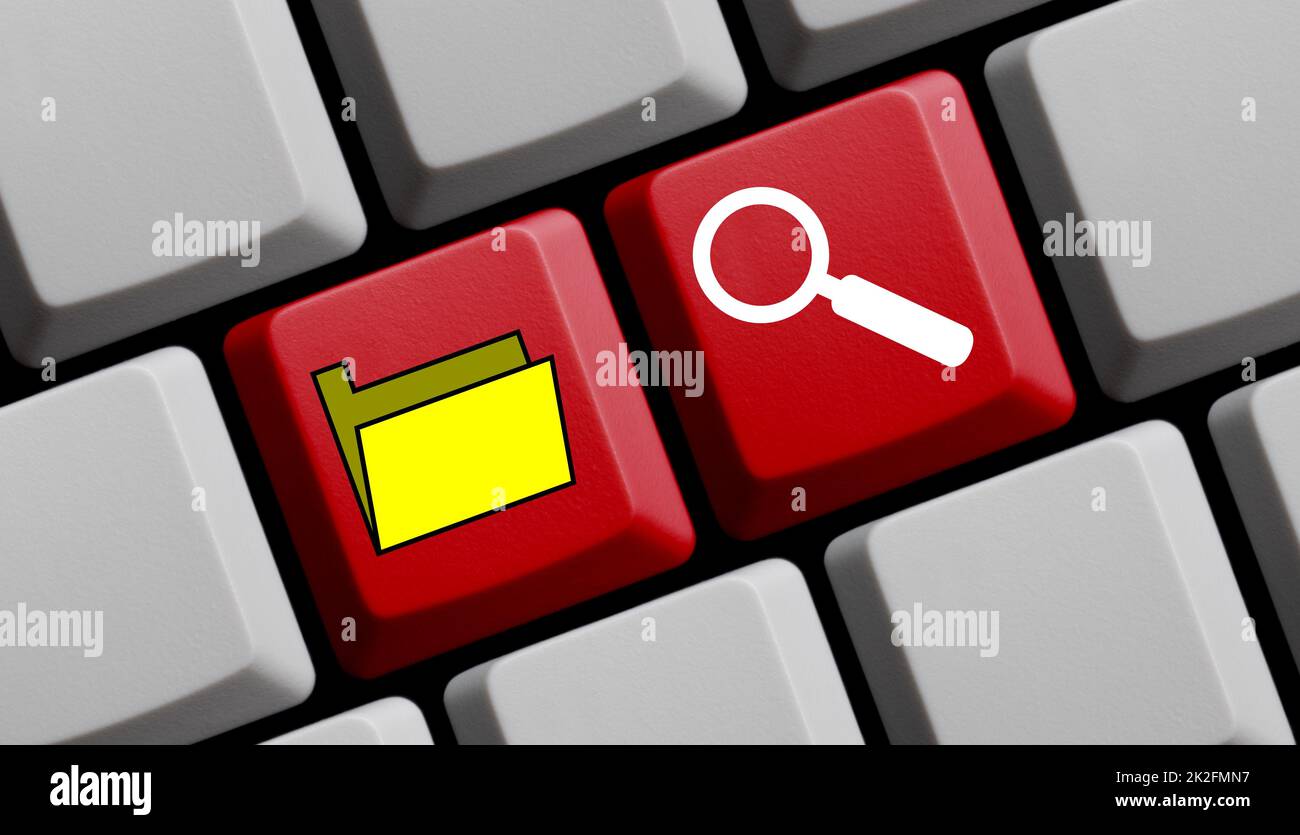 Tastiera del computer: Ricerca di file e dati 3D Illustrazione Foto Stock