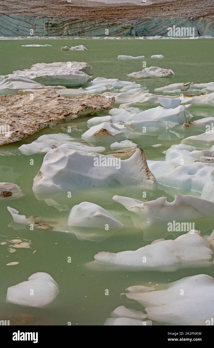 Modelli di iceberg su uno stagno glaciale Foto Stock