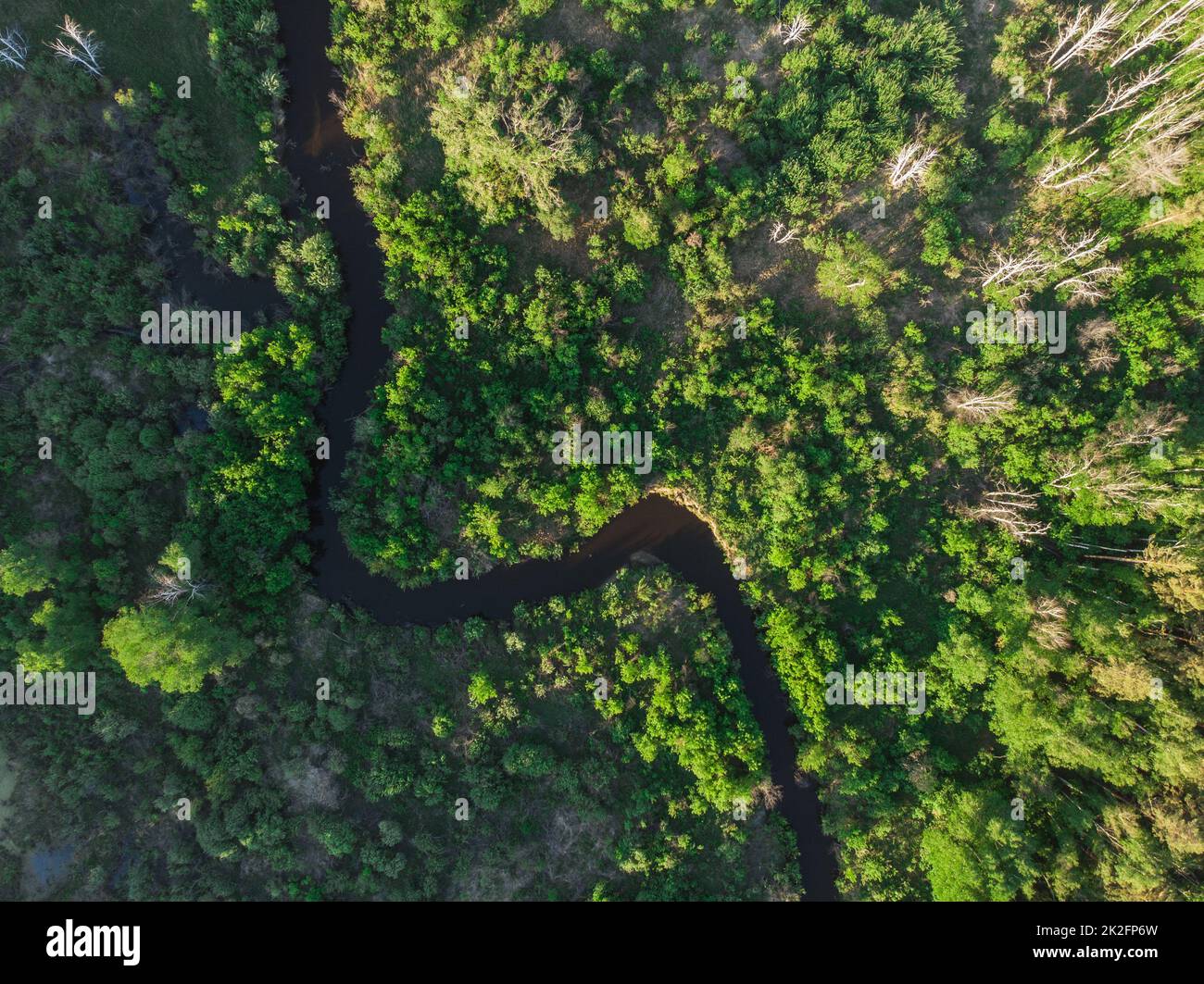 Tiro con il drone aereo del fiume selvaggio Foto Stock