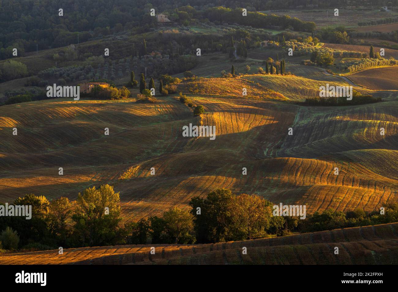 Tipico paesaggio autunnale mattutino toscano, Val D'Orcia, Toscana, Italia Foto Stock