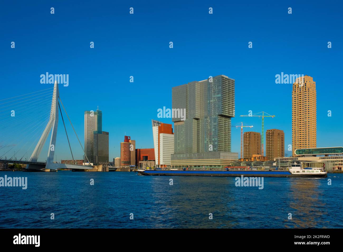 Skyline dei grattacieli di Rotterdam e ponte Erasmusbrug sul fiume Nieuwe Maas. Rotterdam Foto Stock