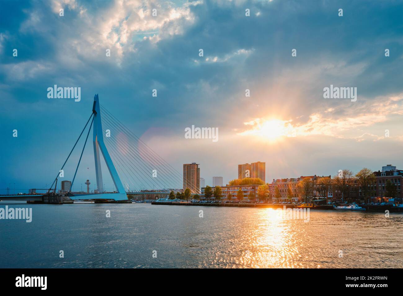 Skyline di Rotterdam con ponte Erasmusbrug su Nieuwe Maas in contre-jur su sunse, Paesi Bassi. Foto Stock