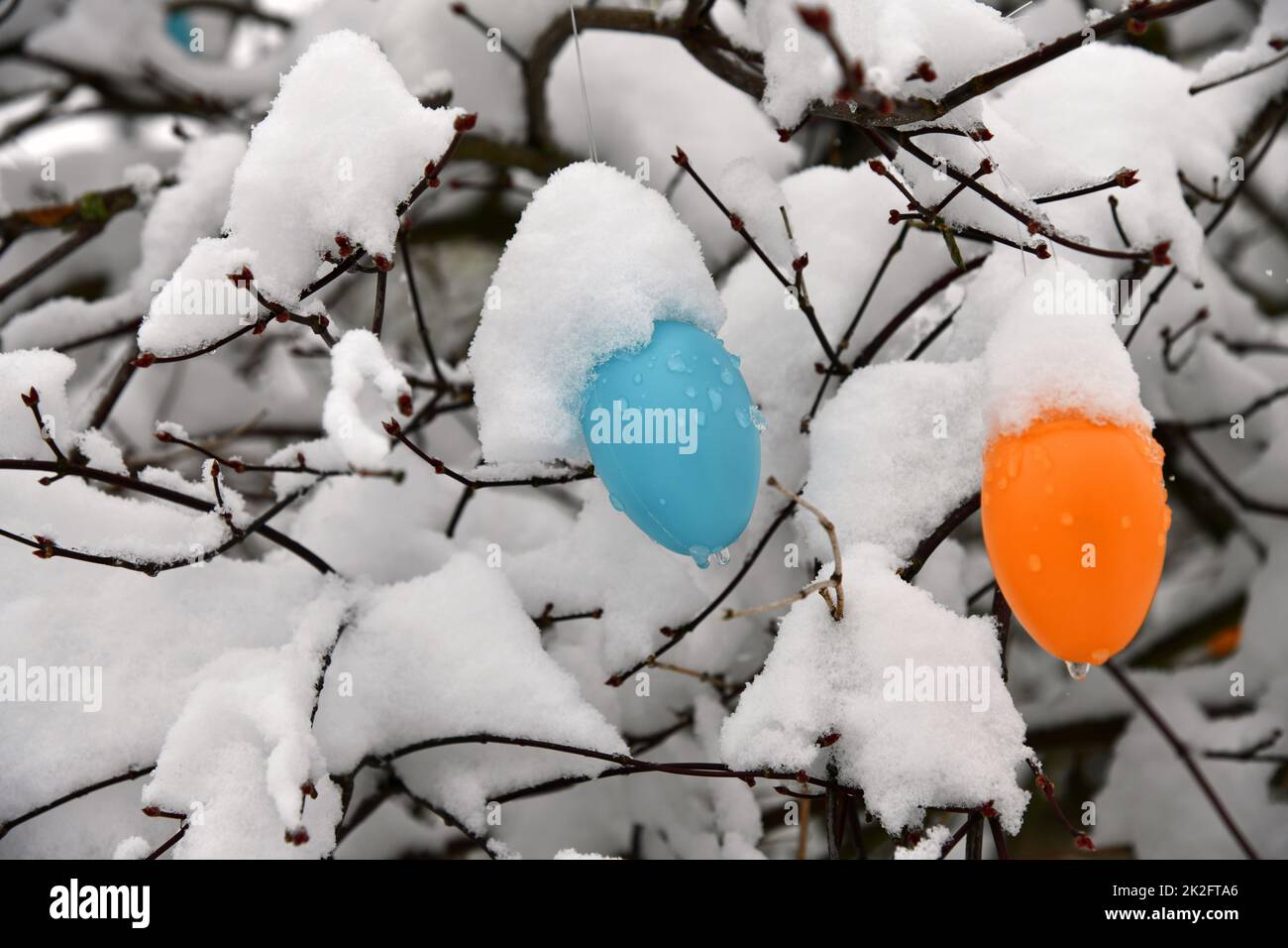 Uova di pasqua colorate con neve fresca Foto Stock