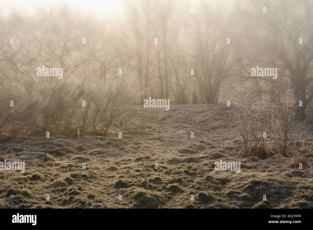 Il sole splende in questa giornata d'inverni, un paesaggio invernale panoramico. Foto Stock