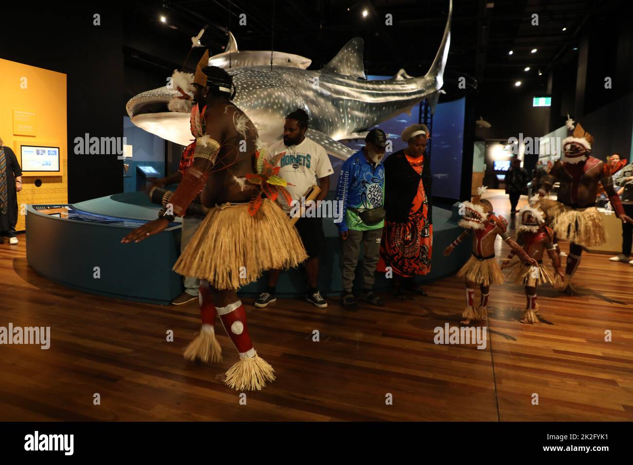 Sydney, Australia. 23rd settembre 2022. Squali, una nuova mostra di successo che aprirà il 24 settembre 2022, si terrà quest'estate al centro dell'Australian Museum (AM). Mettendo in evidenza la scienza più recente e con profonde sovrapposizioni culturali, gli squali invitano i visitatori a esplorare la diversità di questi antichi pesci. Nella foto: Esibizione di Obery Sambo e del Meuram Murray Island Dance Group che ha eseguito la danza totem degli squali. Credit: Richard Milnes/Alamy Live News Foto Stock