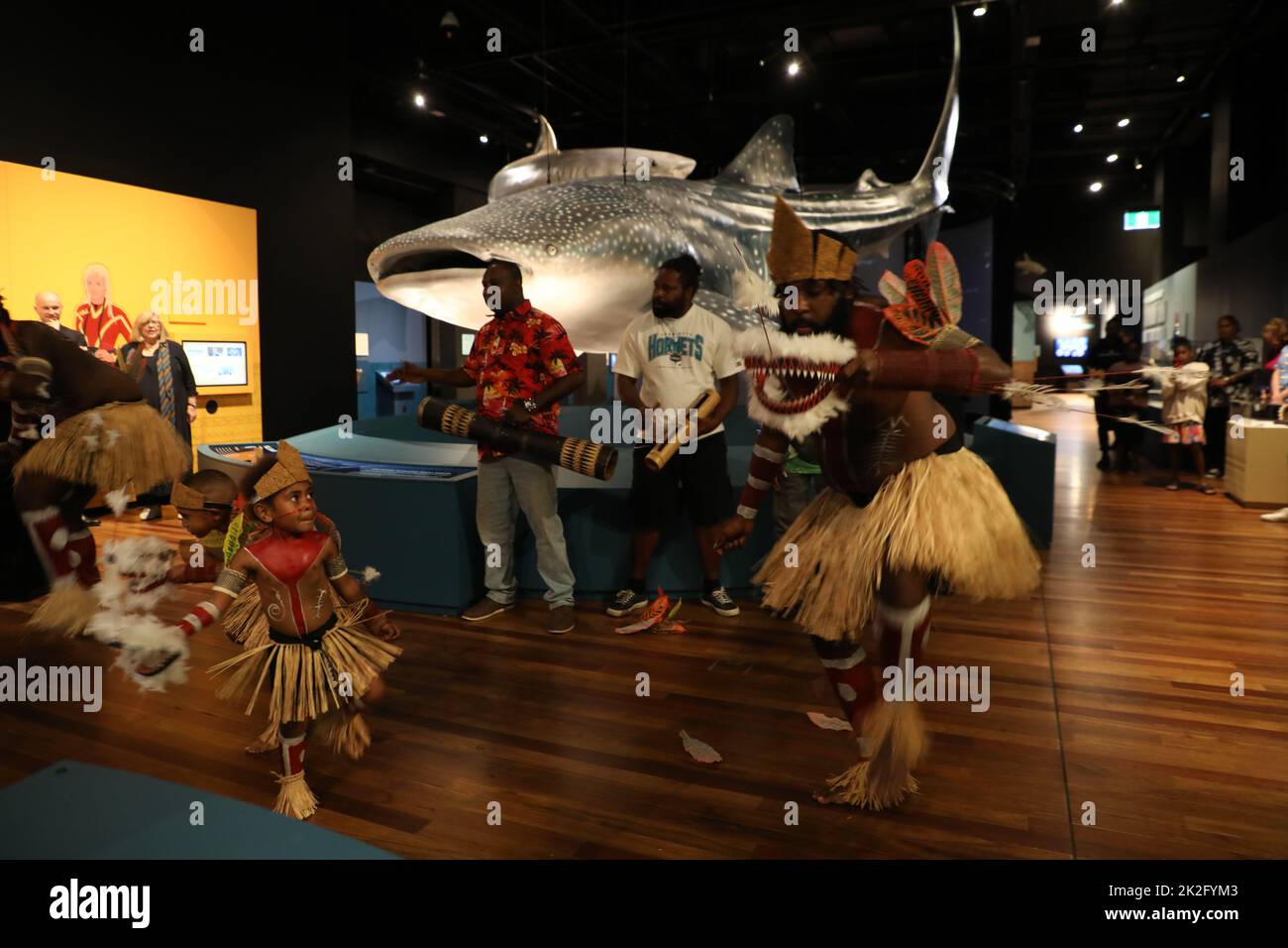Sydney, Australia. 23rd settembre 2022. Squali, una nuova mostra di successo che aprirà il 24 settembre 2022, si terrà quest'estate al centro dell'Australian Museum (AM). Mettendo in evidenza la scienza più recente e con profonde sovrapposizioni culturali, gli squali invitano i visitatori a esplorare la diversità di questi antichi pesci. Nella foto: Esibizione di Obery Sambo e del Meuram Murray Island Dance Group che ha eseguito la danza totem degli squali. Credit: Richard Milnes/Alamy Live News Foto Stock