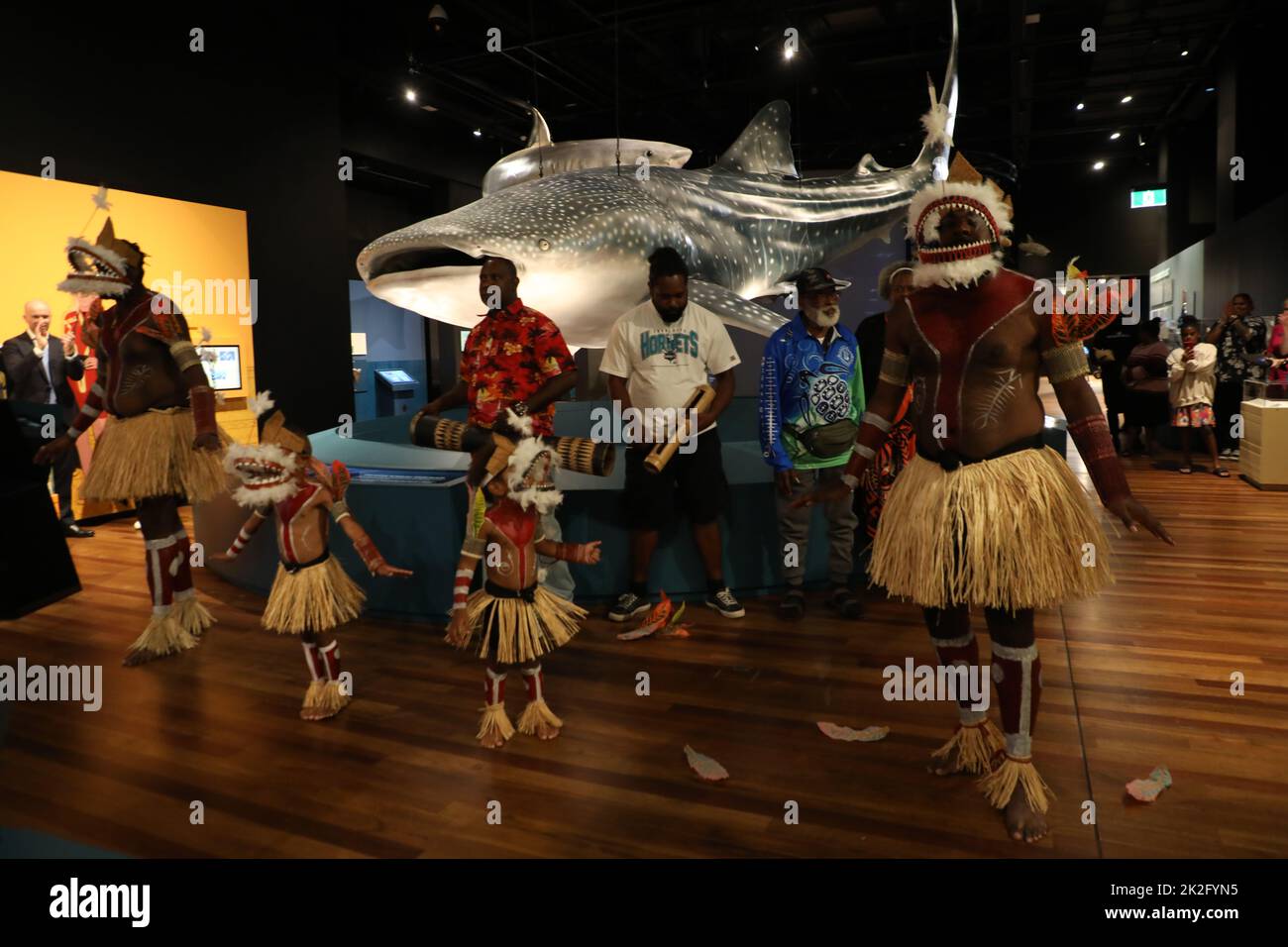 Sydney, Australia. 23rd settembre 2022. Squali, una nuova mostra di successo che aprirà il 24 settembre 2022, si terrà quest'estate al centro dell'Australian Museum (AM). Mettendo in evidenza la scienza più recente e con profonde sovrapposizioni culturali, gli squali invitano i visitatori a esplorare la diversità di questi antichi pesci. Nella foto: Esibizione di Obery Sambo e del Meuram Murray Island Dance Group che ha eseguito la danza totem degli squali. Credit: Richard Milnes/Alamy Live News Foto Stock