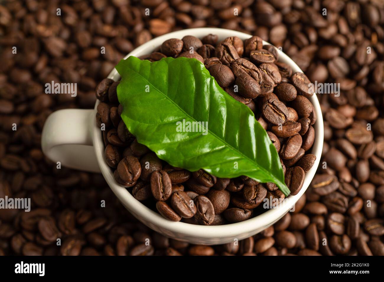 Caffè in chicchi medio arrostito in una tazza con foglie al mattino fresco. Foto Stock