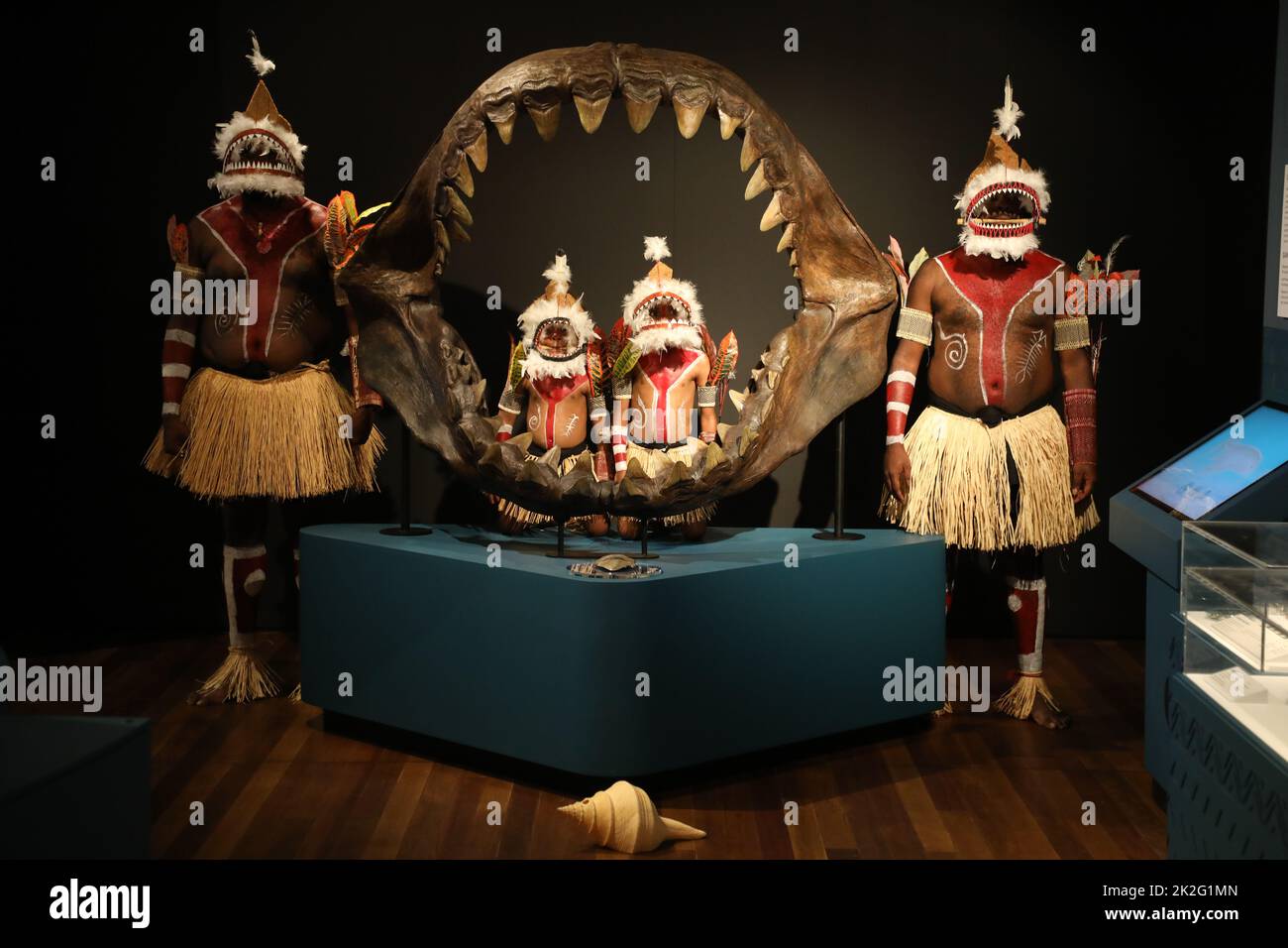Sydney, Australia. 23rd settembre 2022. Squali, una nuova mostra di successo che aprirà il 24 settembre 2022, si terrà quest'estate al centro dell'Australian Museum (AM). Mettendo in evidenza la scienza più recente e con profonde sovrapposizioni culturali, gli squali invitano i visitatori a esplorare la diversità di questi antichi pesci. Nella foto: Il gruppo di danza Meuram Murray Island Dance Group con i costumi da ballo totem di squalo posa per una foto accanto alle mascelle di squalo. Credit: Richard Milnes/Alamy Live News Foto Stock