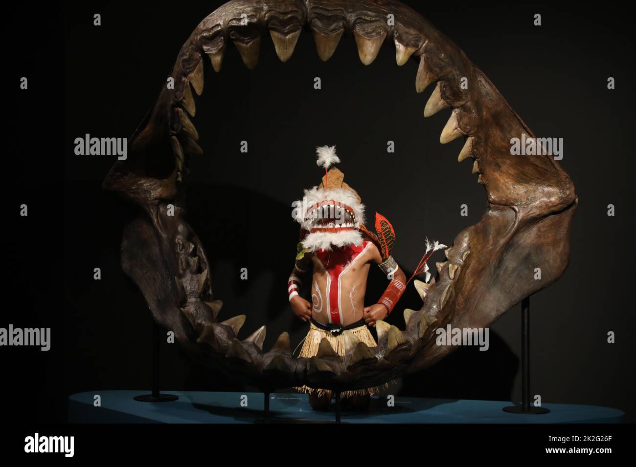 Sydney, Australia. 23rd settembre 2022. Squali, una nuova mostra di successo che aprirà il 24 settembre 2022, si terrà quest'estate al centro dell'Australian Museum (AM). Mettendo in evidenza la scienza più recente e con profonde sovrapposizioni culturali, gli squali invitano i visitatori a esplorare la diversità di questi antichi pesci. Nella foto: Il gruppo di danza Meuram Murray Island Dance Group con i costumi da ballo totem di squalo posa per una foto accanto alle mascelle di squalo. Credit: Richard Milnes/Alamy Live News Foto Stock