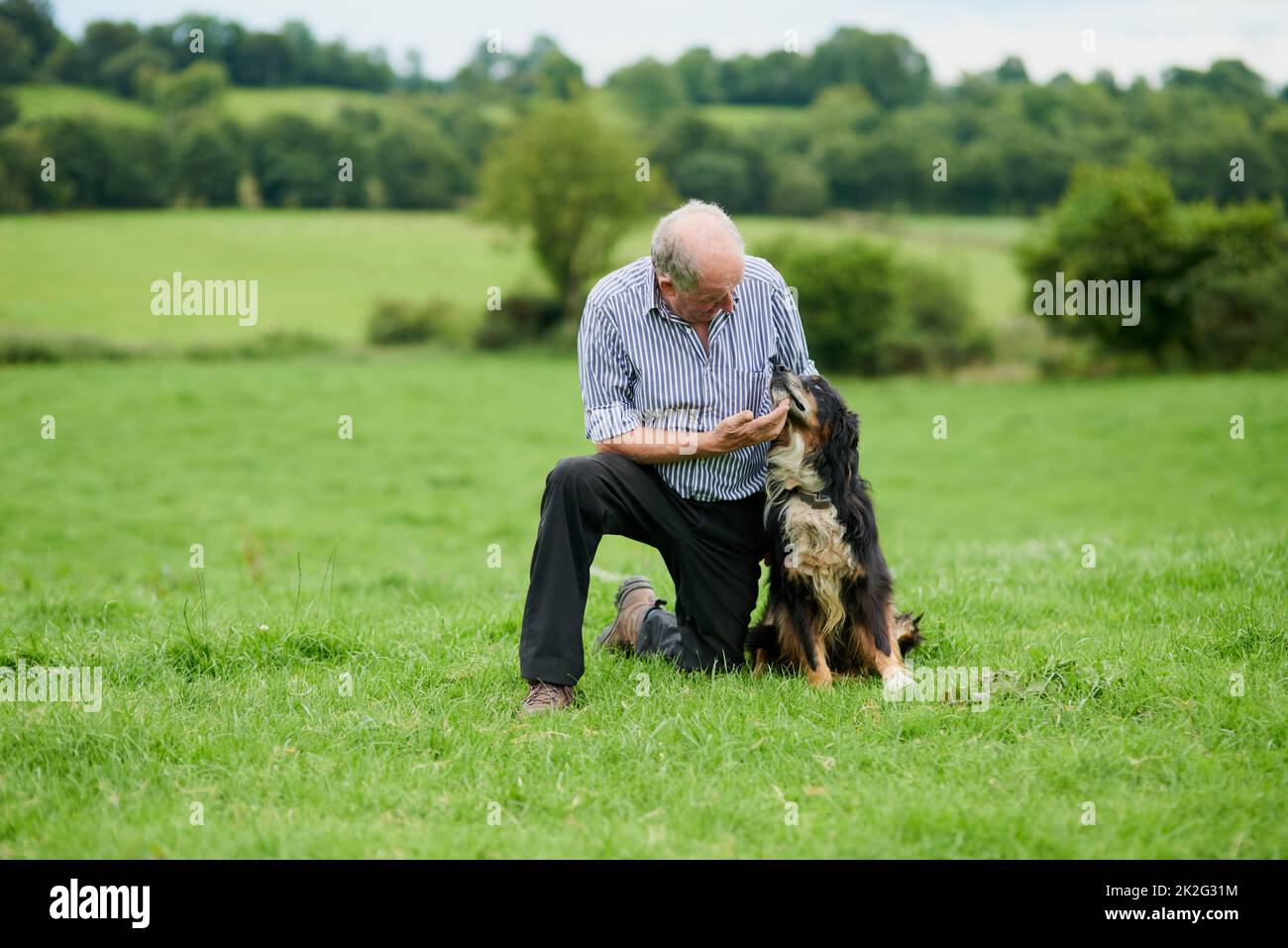 Il mio amico più vicino. Sparato di un coltivatore maturo allegro inginocchiato e tenendo il suo cane da compagnia fuori su un campo verde. Foto Stock