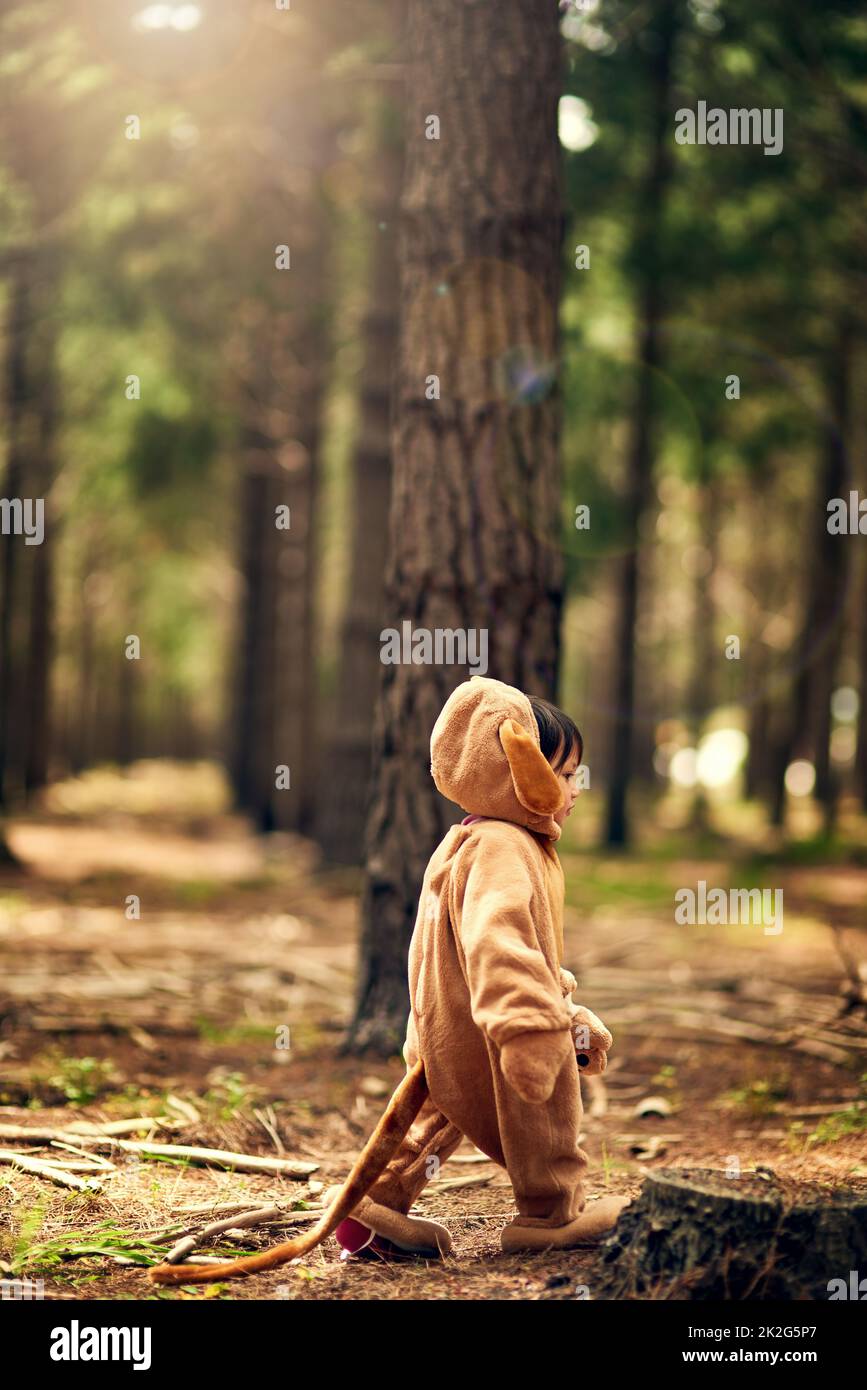 Quando si va nei boschi oggi.... Sparato di una bambina che cammina attraverso la foresta mentre vestito come un orso. Foto Stock
