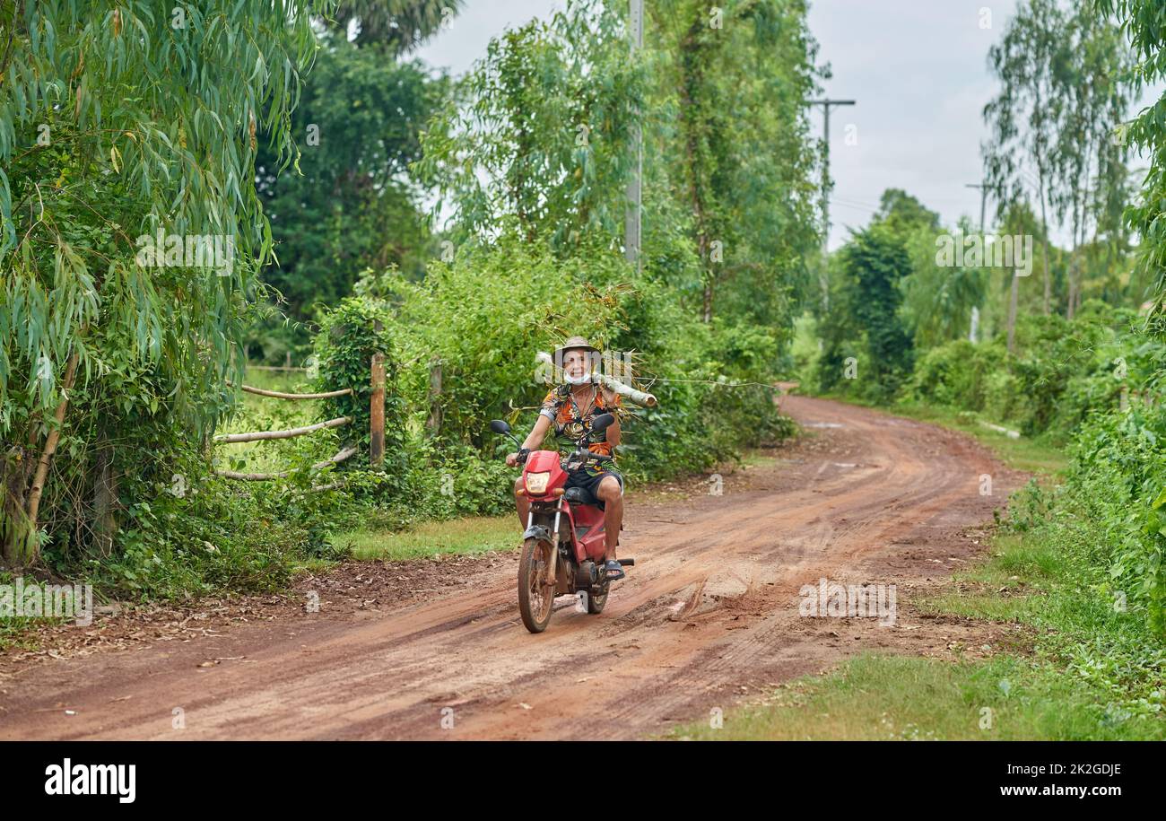 Un contadino in una camicia colorata porta un tronco di bambù sulla spalla, mentre cavalca una moto, presa a Sakon Nakhon, Thailandia Foto Stock