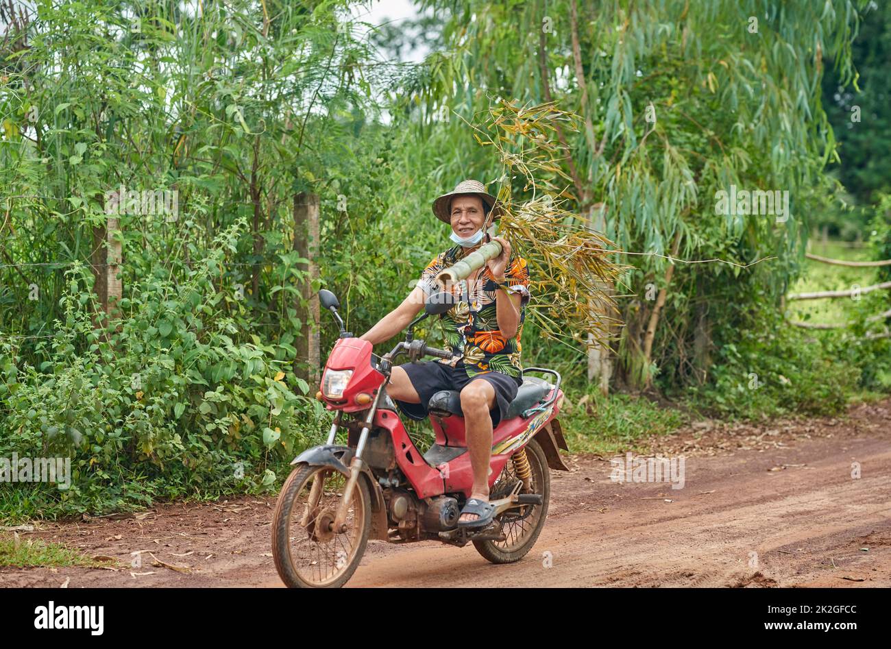 Un contadino in una camicia colorata porta un tronco di bambù sulla spalla, mentre cavalca una moto, presa a Sakon Nakhon, Thailandia Foto Stock