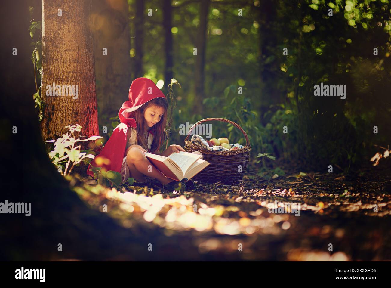 I libri aiutano ad espandere un mondo di bambini e l'immaginazione. Scatto di una bambina in un mantello rosso che legge un libro nei boschi. Foto Stock