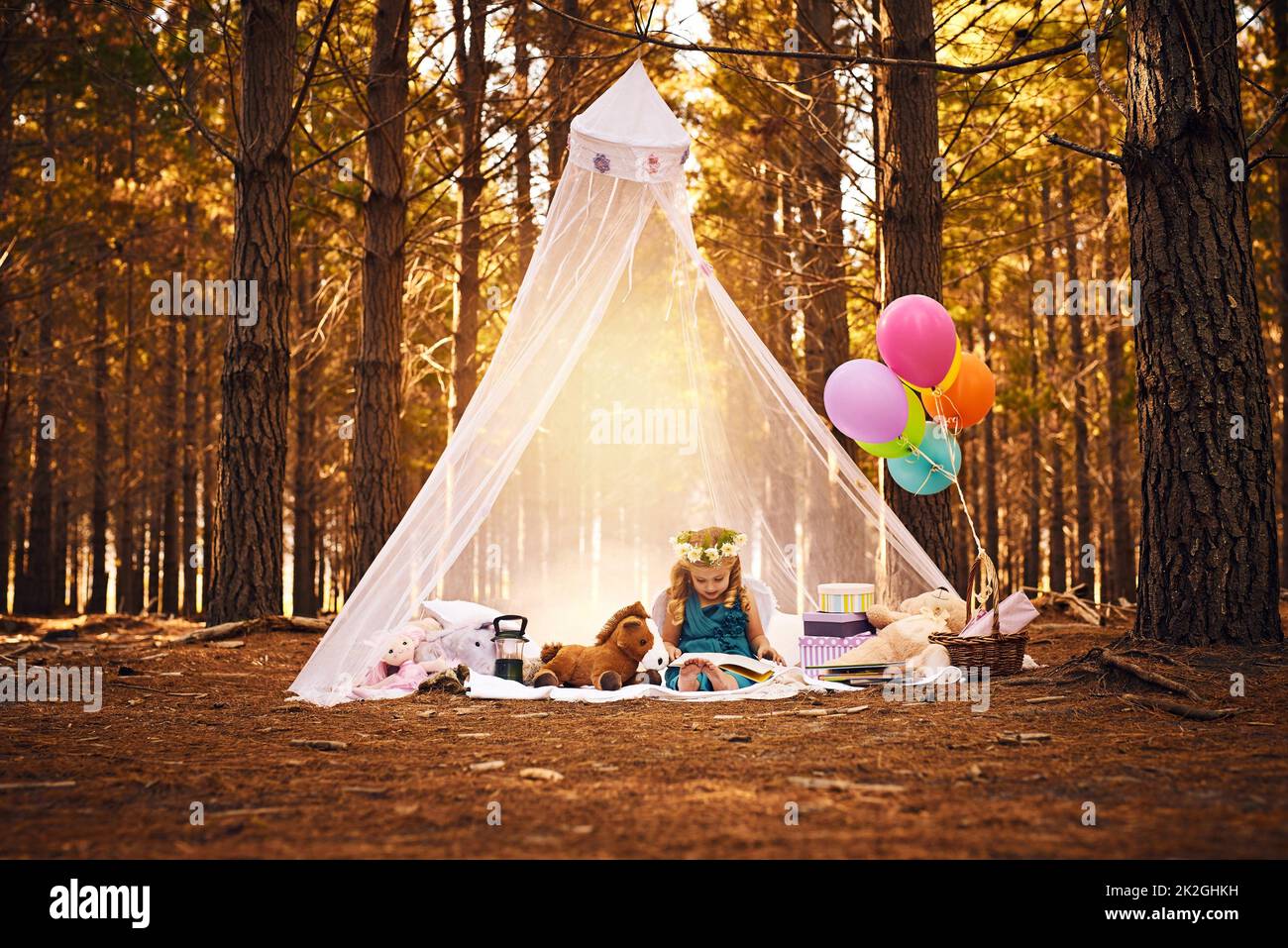 Voglio stare qui per sempre. Scatto di una ragazza piccola felice che legge un libro di storia mentre si siede su una coperta fuori nei boschi. Foto Stock